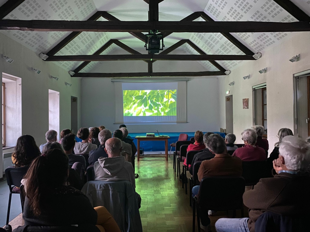 Projection à La Maison De Pays De Seyne